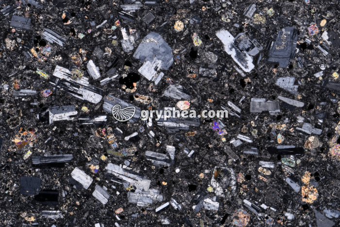 Andésite LPA x3 - gryphea.org